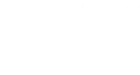 Windows 11